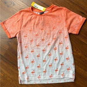 PX Brand Boys Flamingo Tshirt, size 8.